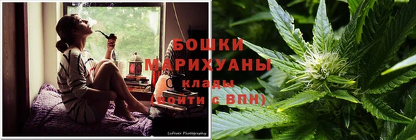 ПСИЛОЦИБИНОВЫЕ ГРИБЫ Нязепетровск
