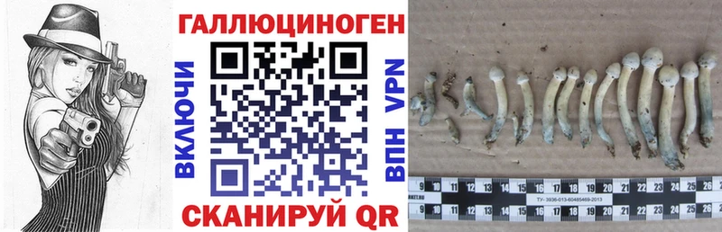 Псилоцибиновые грибы прущие грибы  Хилок 